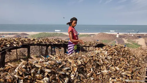 Épisodes de Razzia sur l'Atlantique