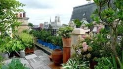 Recherche appartement ou maison