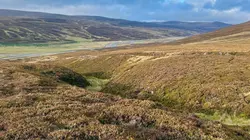 Réensauvager les Highlands