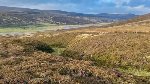 Réensauvager les Highlands