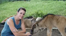 Refuges pour animaux sauvages Rhinocéros, daman, porc-épic
