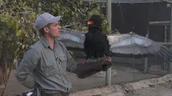 Refuges pour animaux sauvages