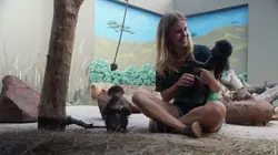 Refuges pour animaux sauvages  Babouin, guépard, galago