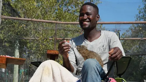 Casting Refuges pour animaux sauvages Eléphant, chimpanzé, gnous