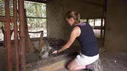 Refuges pour animaux sauvages