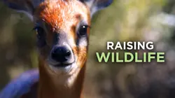 Visuel de Refuges pour animaux sauvages