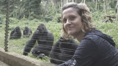 Casting Refuges pour animaux sauvages Céphalophe gris, guépard et koudou