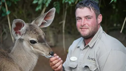 Casting Refuges pour animaux sauvages Loutres, mangoustes et écureuils