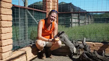 Refuges pour animaux sauvages Lycaons, babouins, grysbok