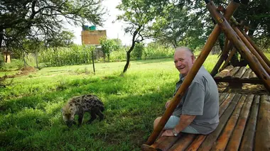 Refuges pour animaux sauvages Singes vervets, guépards & koudou