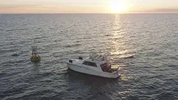 Visuel de Régalec, premiers contacts avec le poisson roi