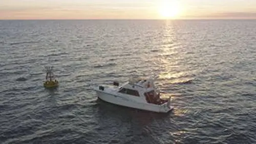 Régalec, premiers contacts avec le poisson roi