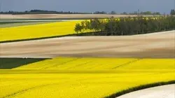 Visuel de Regard sur...