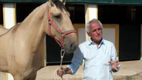 Regarde le monde S01E05 A cheval