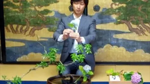 Regarde le monde S01E07 Jardins d'ailleurs