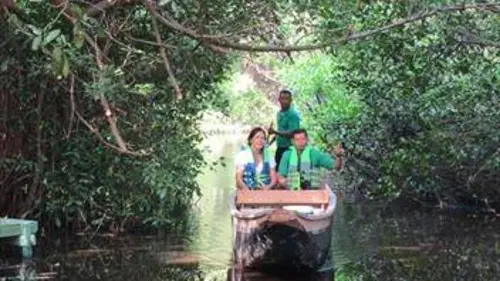 Regarde le monde S02E09 Il était une forêt