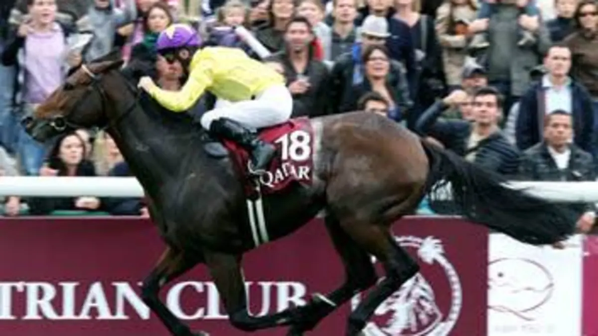 Regarder les étoiles