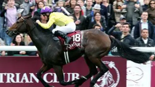 Regarder les étoiles