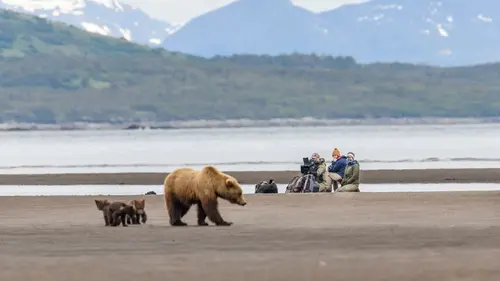Reines Reines de la côte en streaming