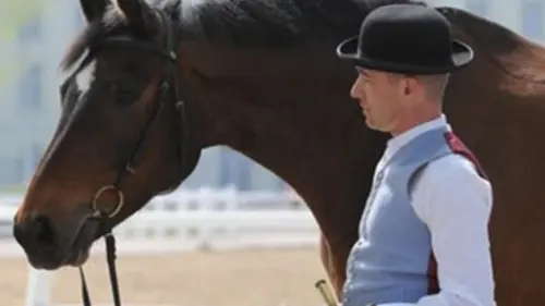 Rencontres de l'équitation de tradition française 2015