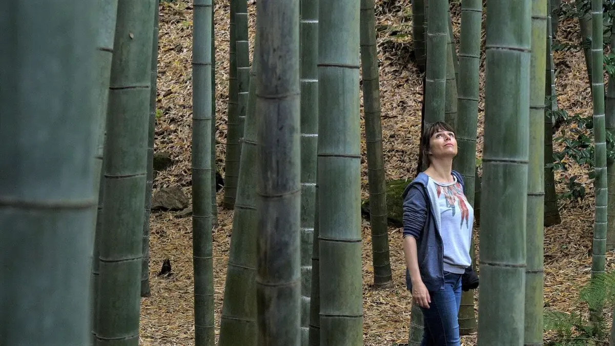 Rencontres sur la ligne Enoden