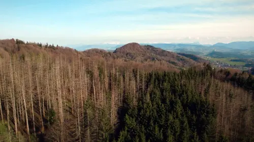 Rendez-vous au parc Le parc de Sihlwald