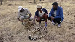 Rendez-vous en terre hostile Zimbabwe