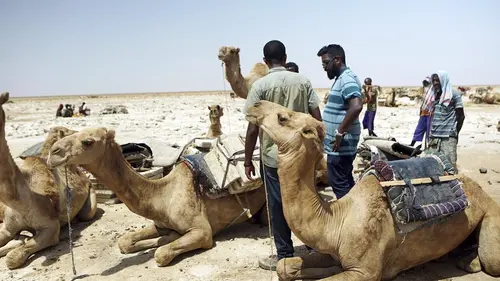 Rendez-vous en terre hostile S01E02 Ethiopie