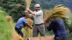 Rendez-vous en terre inconnue