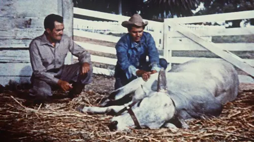 Rendez-vous sur l'Amazone