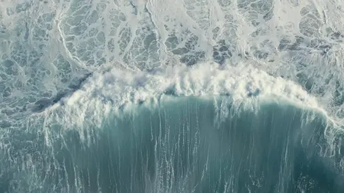 Renouer avec le vivant replay