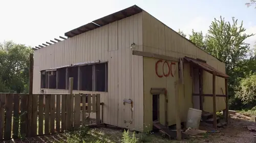 Rénovation insolite Ma cage à poules