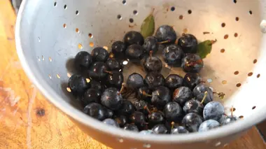 Rénovation XXL : Bienvenue au château