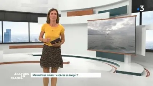 Ailleurs en France 02/10/2020