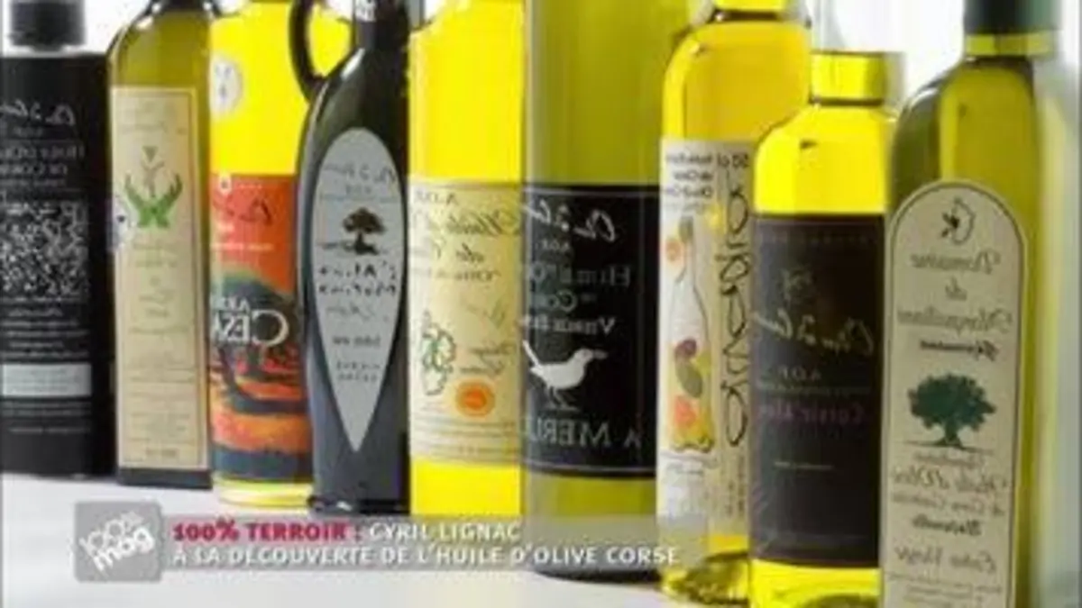 replay de 100% Mag : Cyril Lignac à la découverte de l’huile d’olive corse
