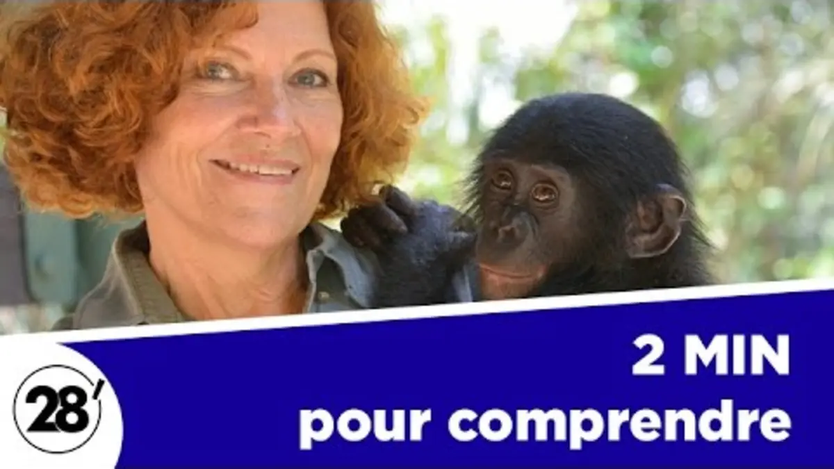 replay de 2 minutes pour comprendre... les bonobos, avec Claudine André - 28 minutes - ARTE