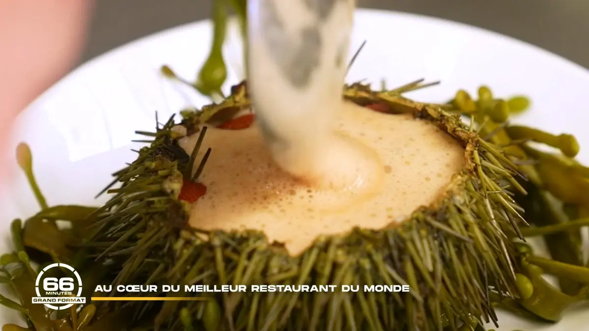replay de 66 minutes : Au cœur du meilleur restaurant du monde