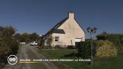 66 minutes : Le meilleur pâtissier du monde passe à table / Molène : quand les chats prennent le pouvoir / Mini portions, maxi plaisir : ils vous régalent à petits prix ! / Noël et les secrets du château enchanté