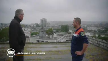 66 minutes : Low cost : quand la valise coûte plus cher que le billet / Goélands : l’invasion / Eau du robinet : un risque sous-estimé ? / Resto d’autoroute : l’indépendant qui refuse de fermer