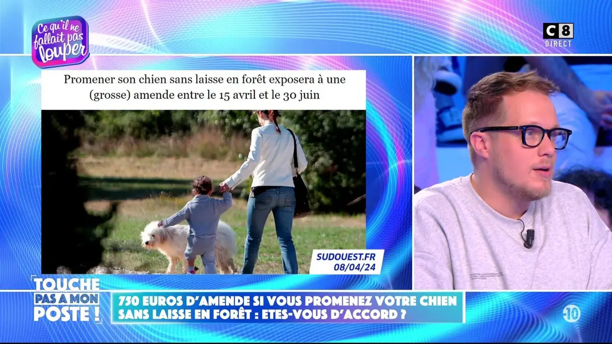 replay de 750€ d'amende si vous promenez votre chien sans laisse en forêt