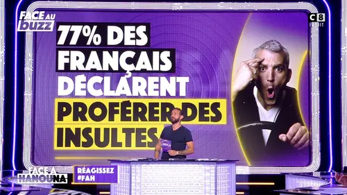 replay de 77% des français déclarent proférer des insultes