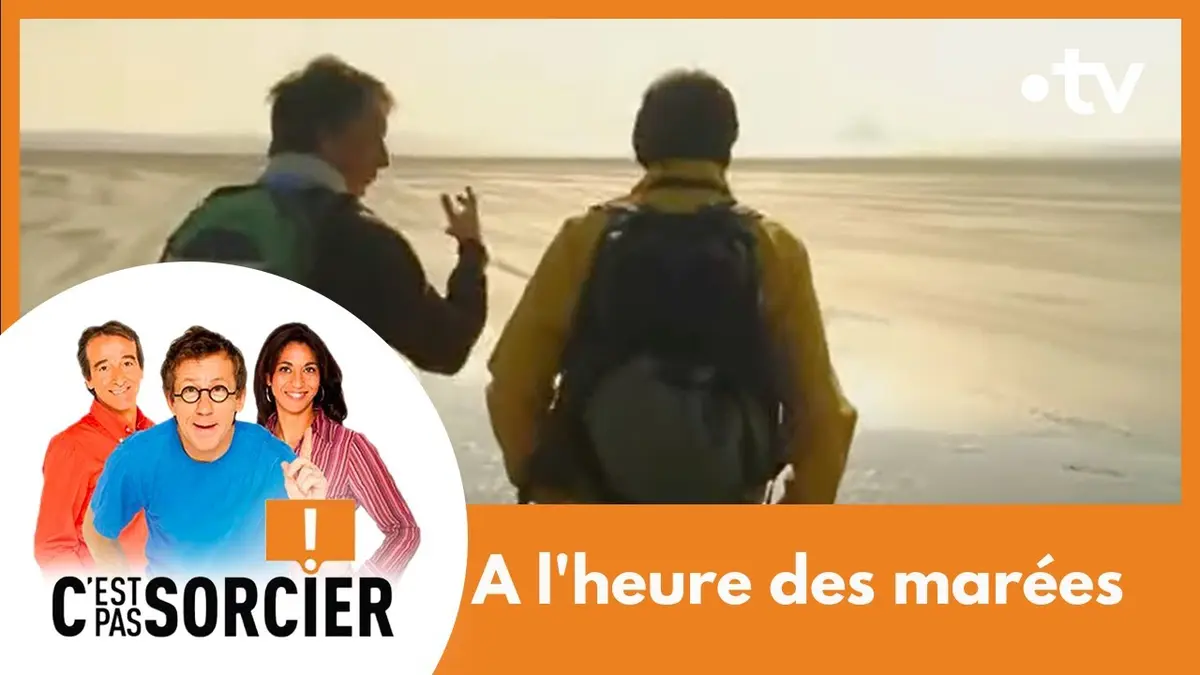 replay de A l'heure des marées - C'est pas sorcier [Intégrale]