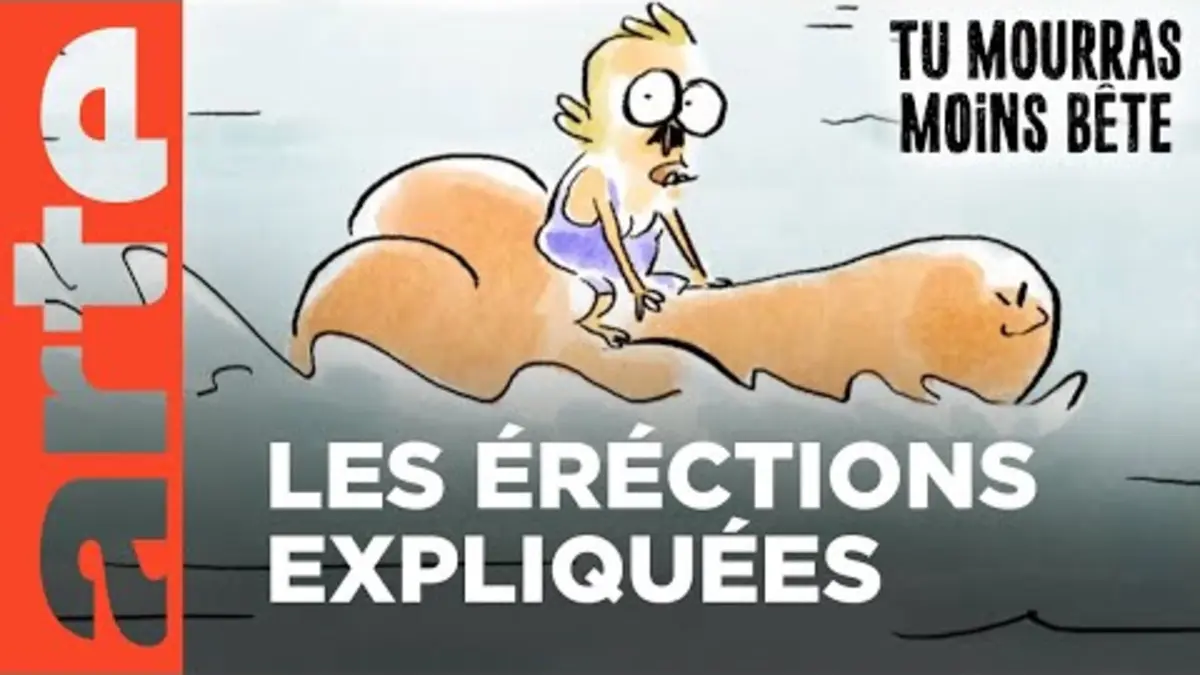 replay de À l'intérieur du corps | Compilation | Tu mourras moins bête | ARTE