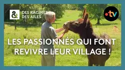 À la découverte des magnifiques villages de l'Aveyron ! - Des Racines et Des Ailes