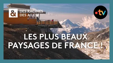 À la découverte des plus beaux paysages de France ! - Des racines et des ailes