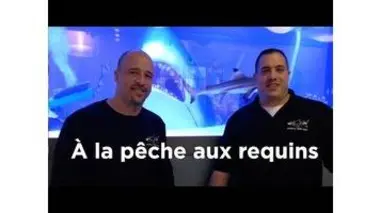À la pêche aux requins : Aquamen