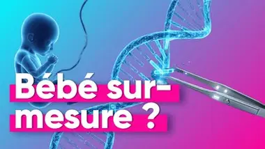 A la recherche de l'embryon "parfait"