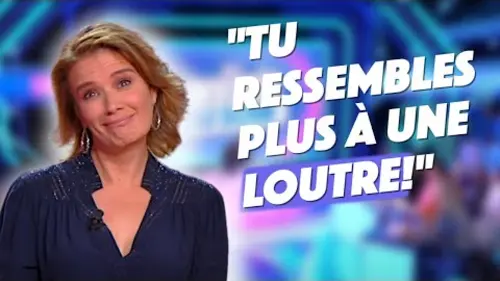 replay de A quel animal ressemble les chroniqueurs ?