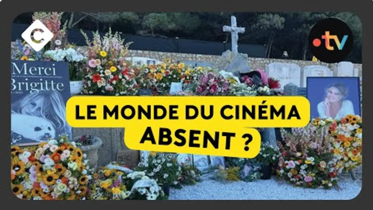 replay de À Saint-Tropez, les adieux à Brigitte Bardot