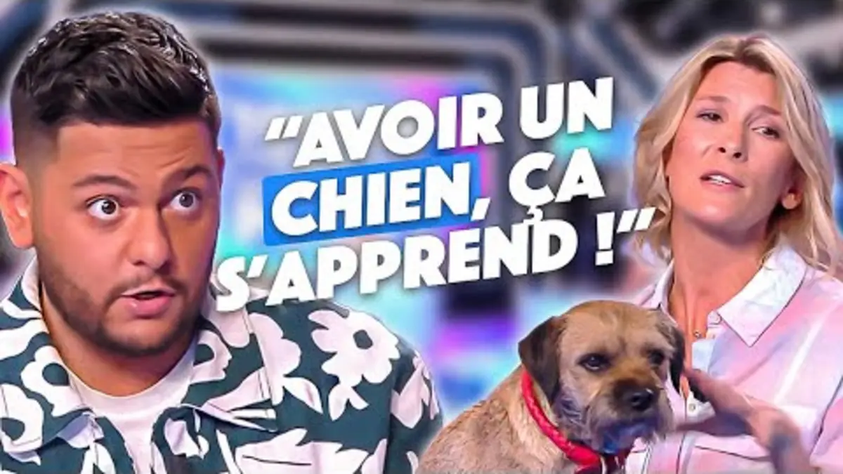 replay de Abandon des animaux en hausse : un animal, une responsabilité à VIE !